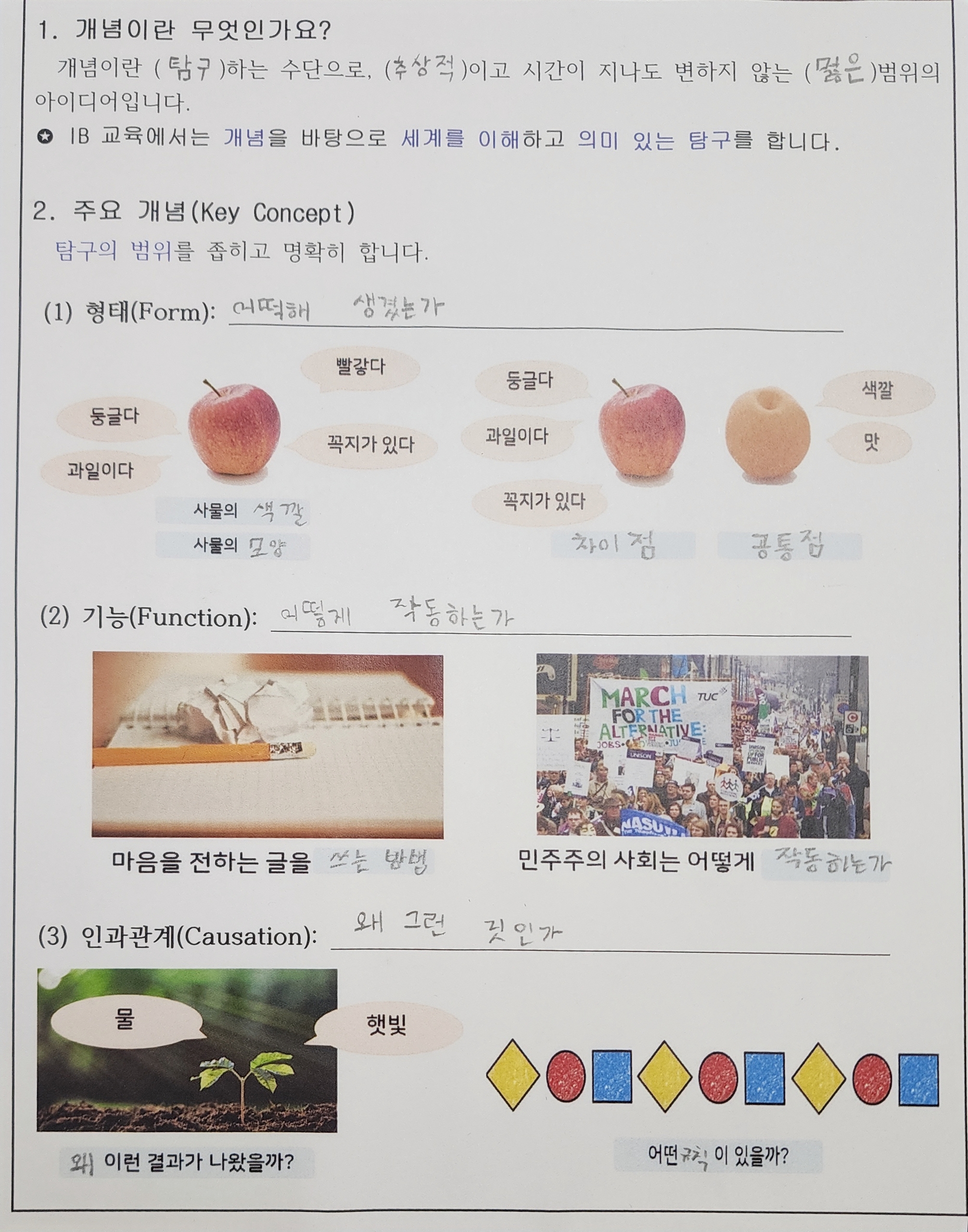 초등학교 IB교육 문제집