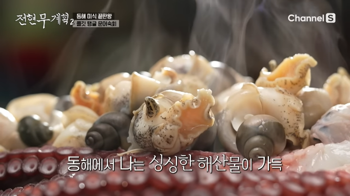 전현무계획 삼척 문어 숙회 맛집