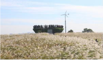 서울-하늘공원-억새축제-가는길.주차.일정안내-사진명소-사진맛집-총정리