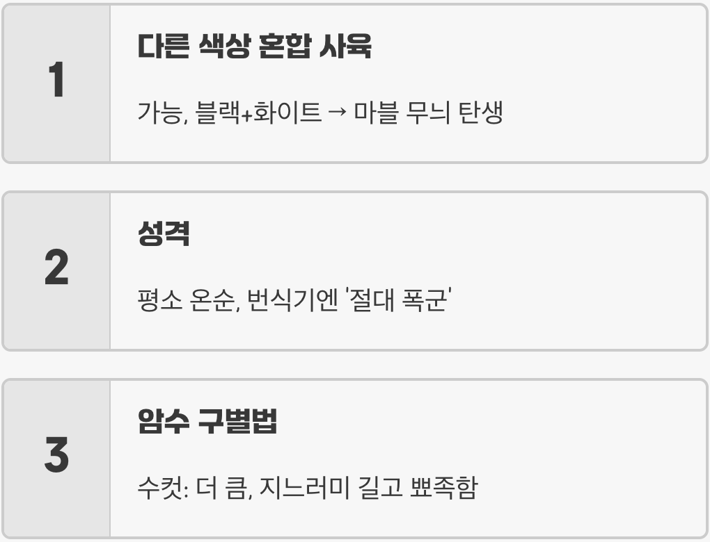 니그로 종류 총정리 (블랙, 화이트, 핑크, 골드)