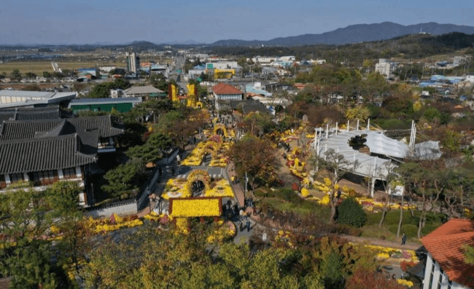 월출산-국화축제-영암군