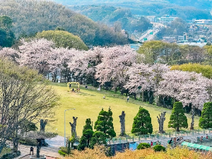 베어트리파크 봄꽃축제