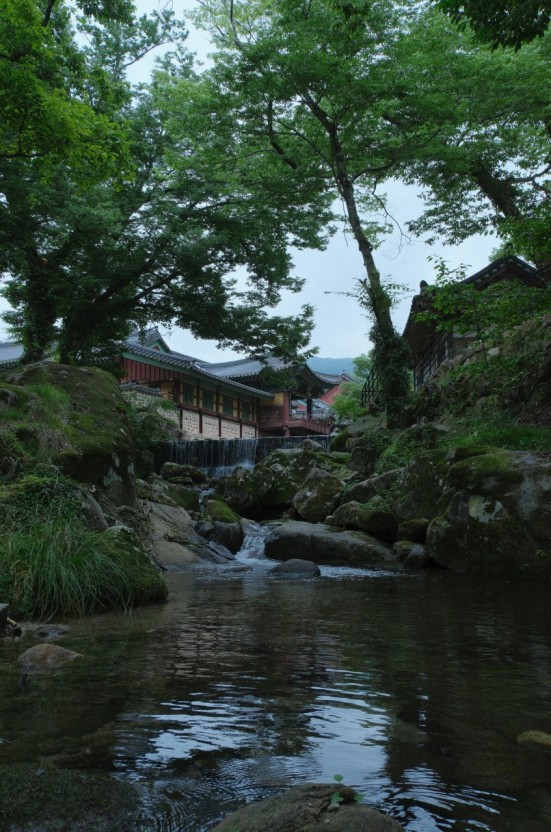 순천송광사선암사트레킹사진