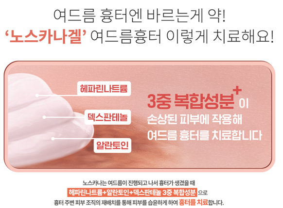 노스카나 겔 성분