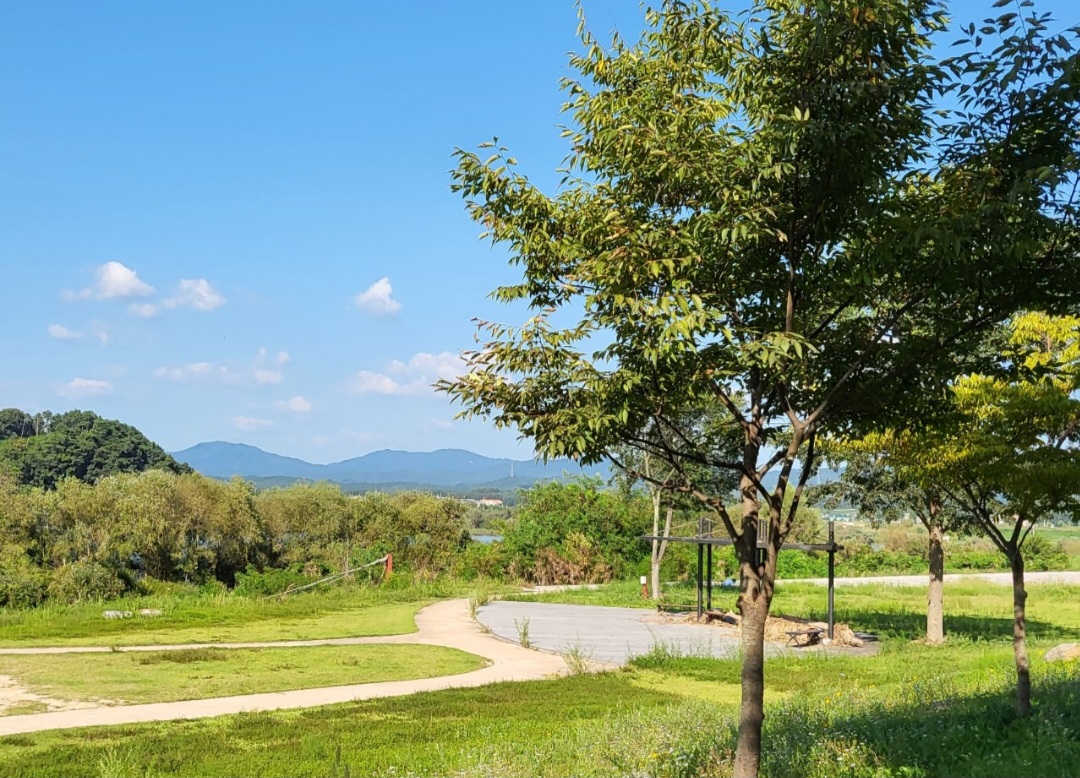 여주 금은모래캠핑장 소개