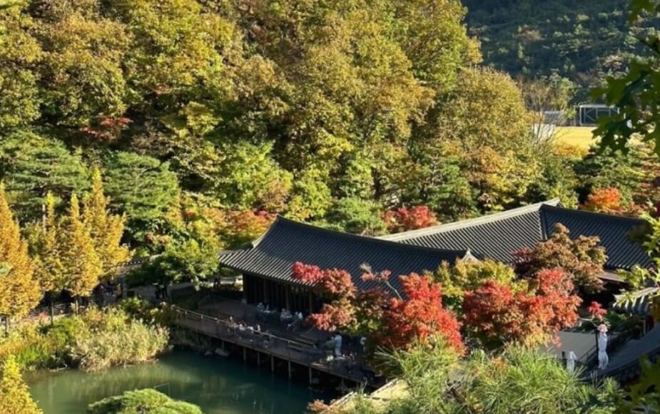화담숲 입장권, 모노레일 예약 안내