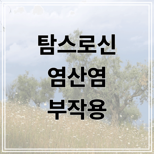탐스로신 염산염 부작용