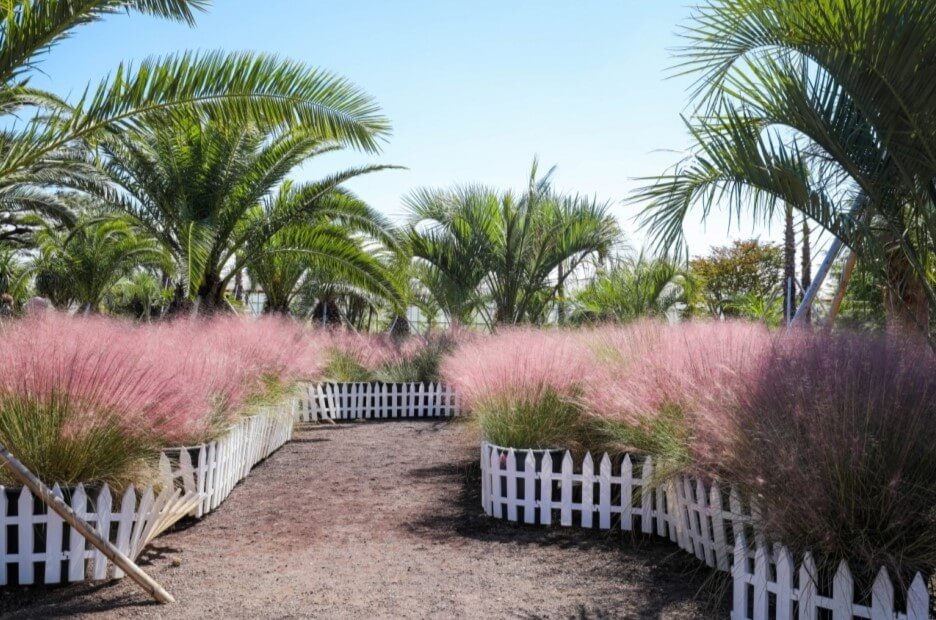 전국 가을축제 일정