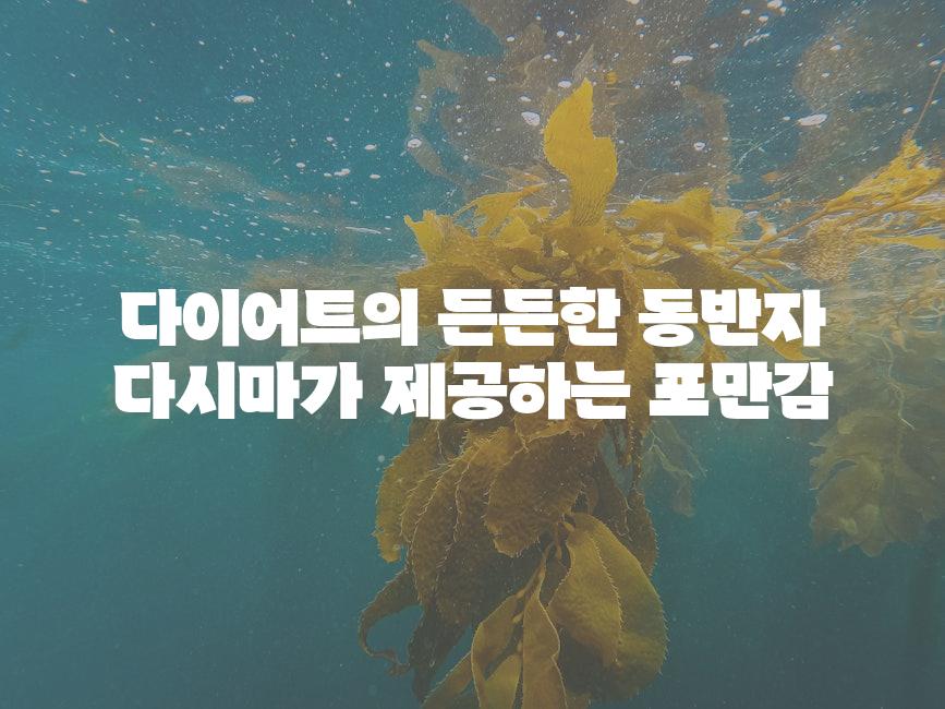 다이어트의 든든한 동반자 다시마가 제공하는 포만감