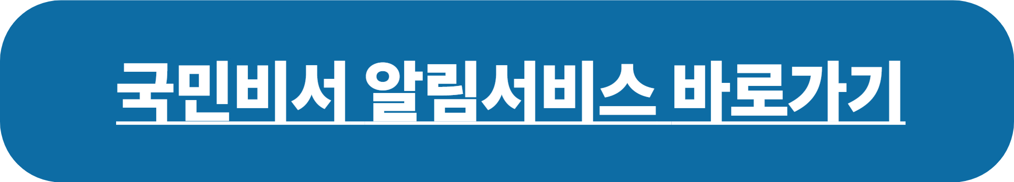 민생회복 소비쿠폰 신청방법