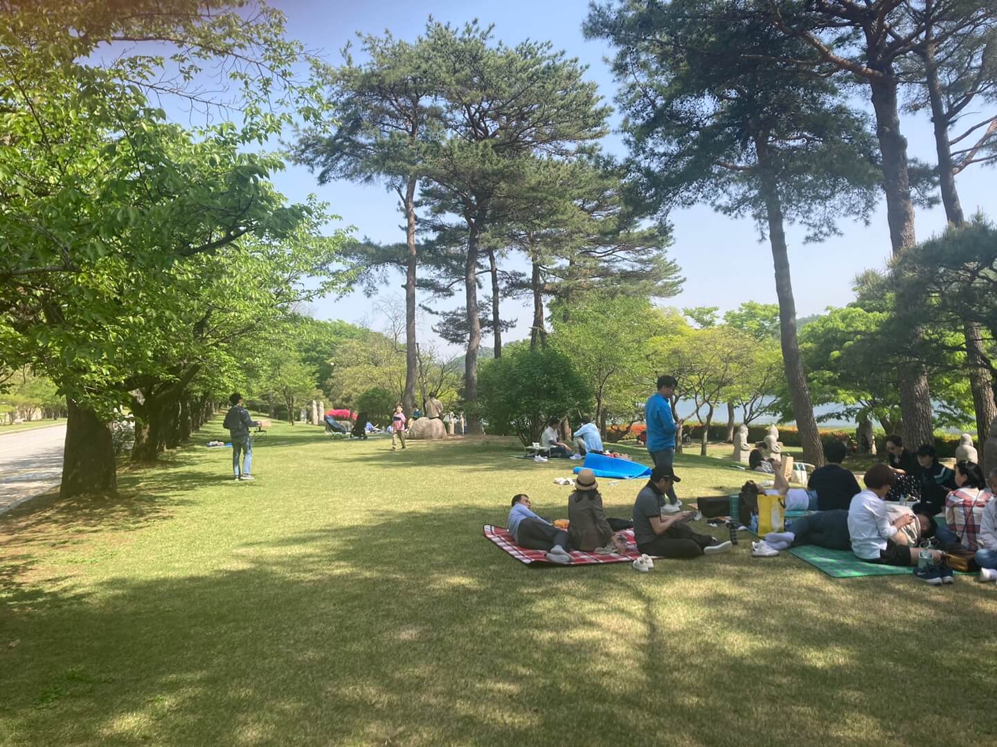 호암미술관 단풍