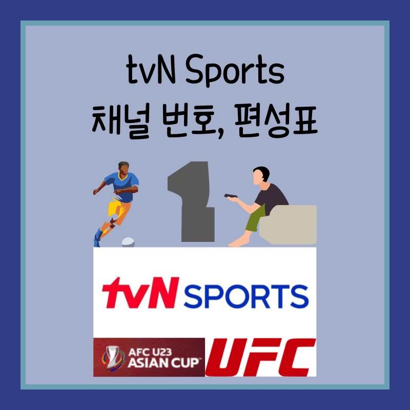 tvn sports 편성표 채널번호