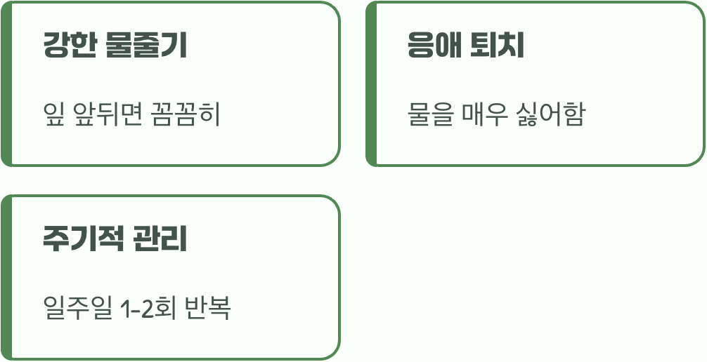 샤워기로 만드는 인공 폭우