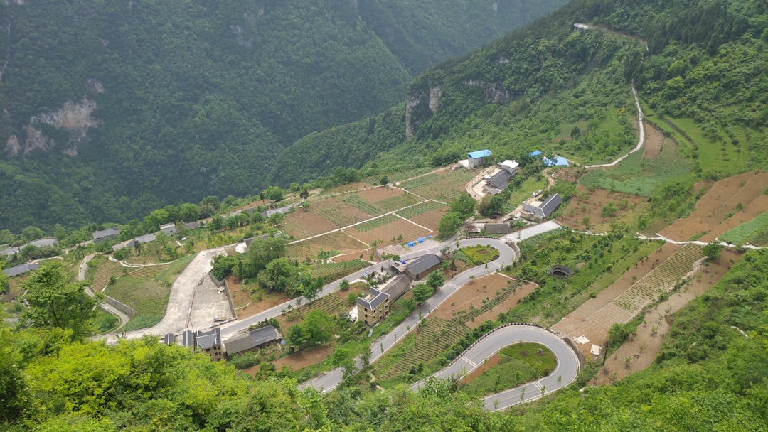 National project