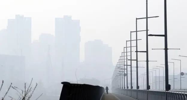 세종 미세먼지 농도 공원 산책 시간대 선택 건강 팁_2