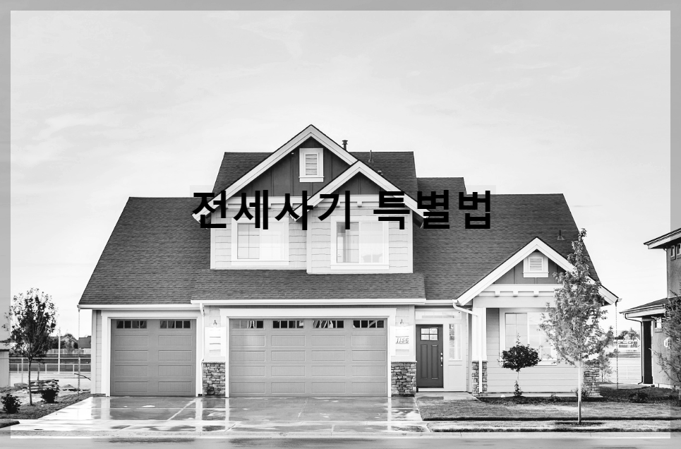 전세사기 특별법