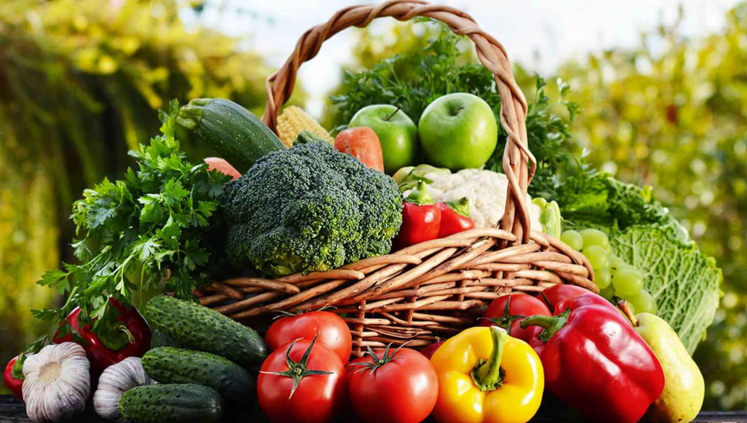 많은 종류의 채소 중 살이 찌는 데에 상관이 없는 채소는 무엇일까?