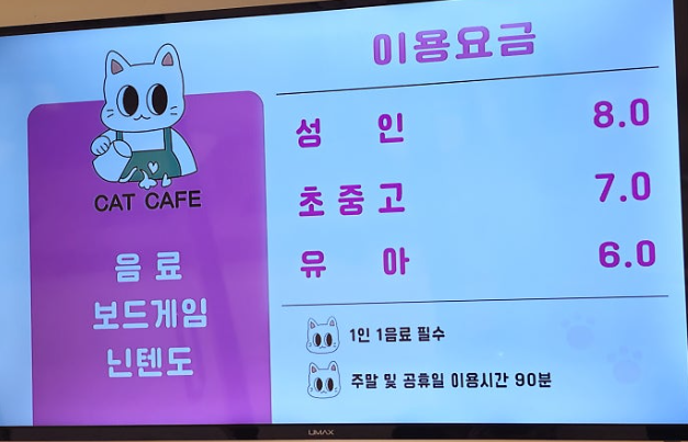 청주 성안길 아이와 가볼만한 곳&amp;#44; 고양이 카페 &amp;#39;냥이싸롱&amp;#39; 힐링 후기 (입장료/간식/방학나들이)