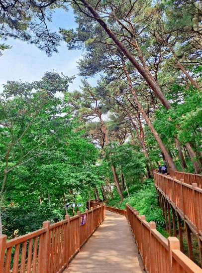 태안 가볼만한곳 베스트10