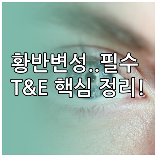 황반변성 초기 집중 치료 로딩 단계와..