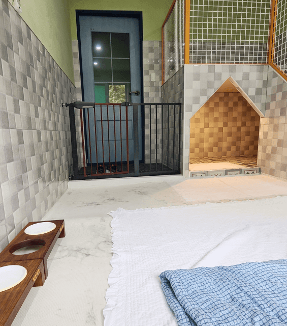 김포공항 애견센터 독독