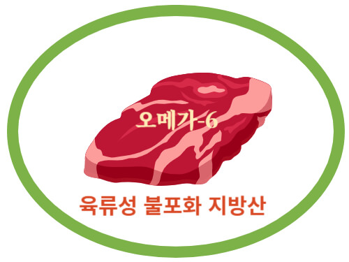 육류성-불포화-지방산