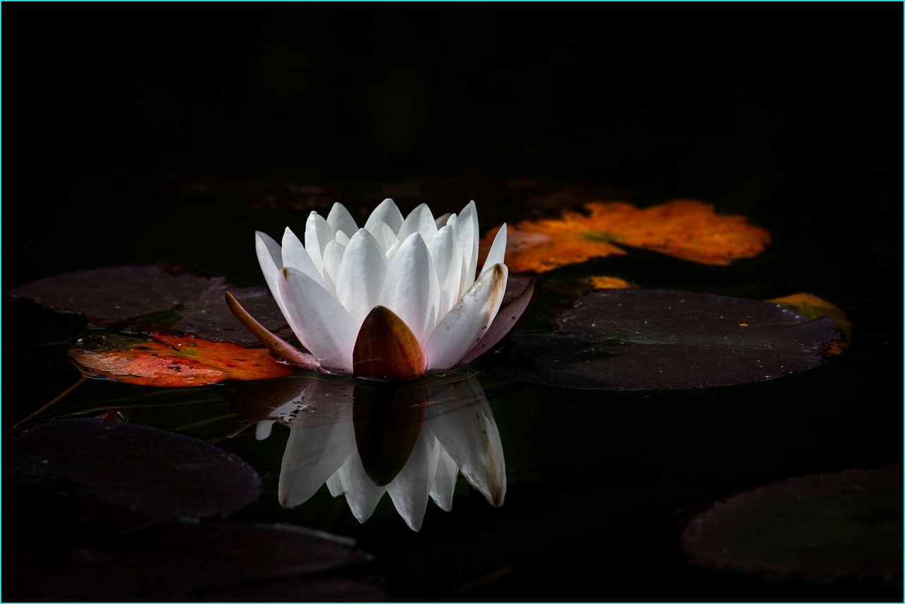 희망저축계좌2 신청조건
