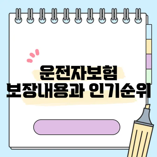 운전자보험 보장내용과 인기순위