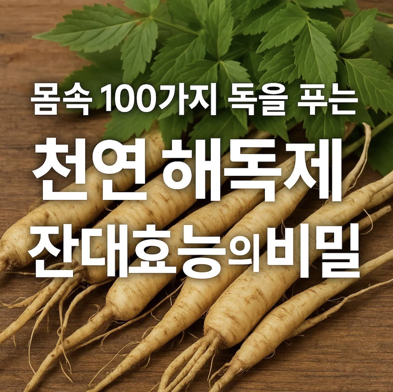 몸속 100가지 독을 푸는 천연 해독제, 잔대효능의 비밀