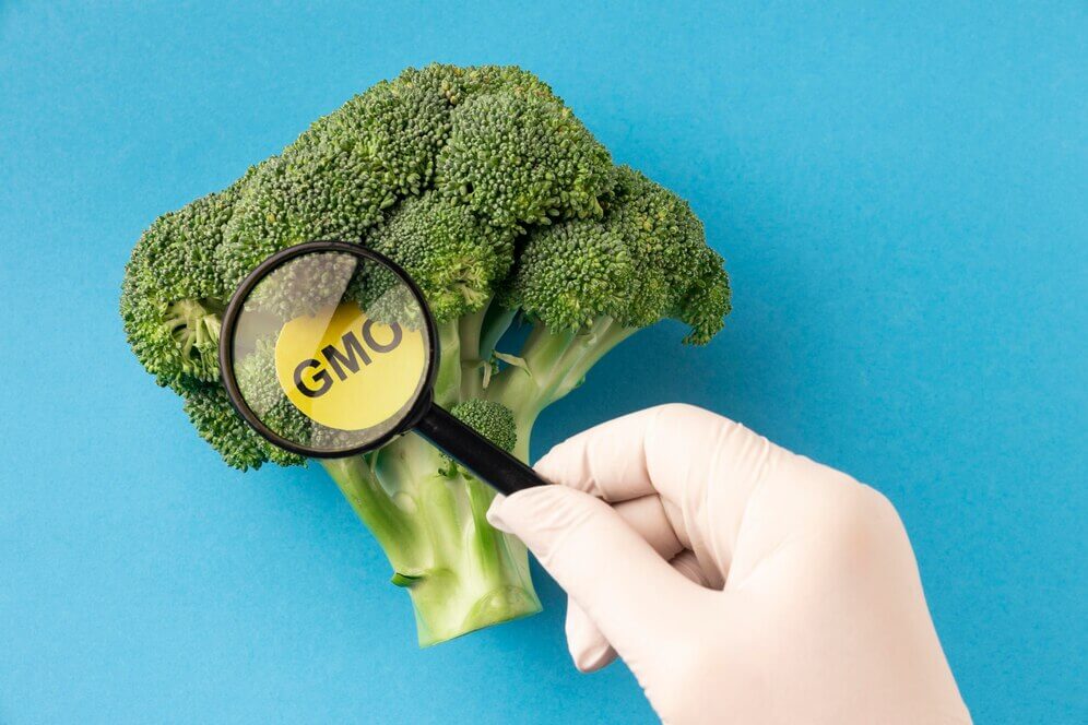 GMO 식물: 현대 농업의 혁신과 논쟁
