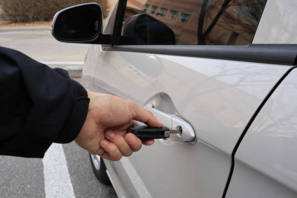 2025 다이렉트 자동차 보험 비교 가이드