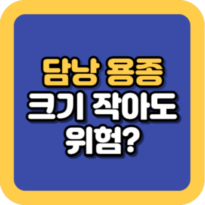 담낭 용종 크기 1cm 미만 크기 작아도 위험할까
