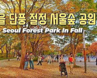 연인이 함께 걷기 좋은 서울숲 가을 데이트 장소 추천