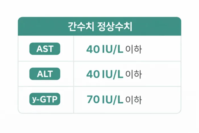 간수치 정상범위