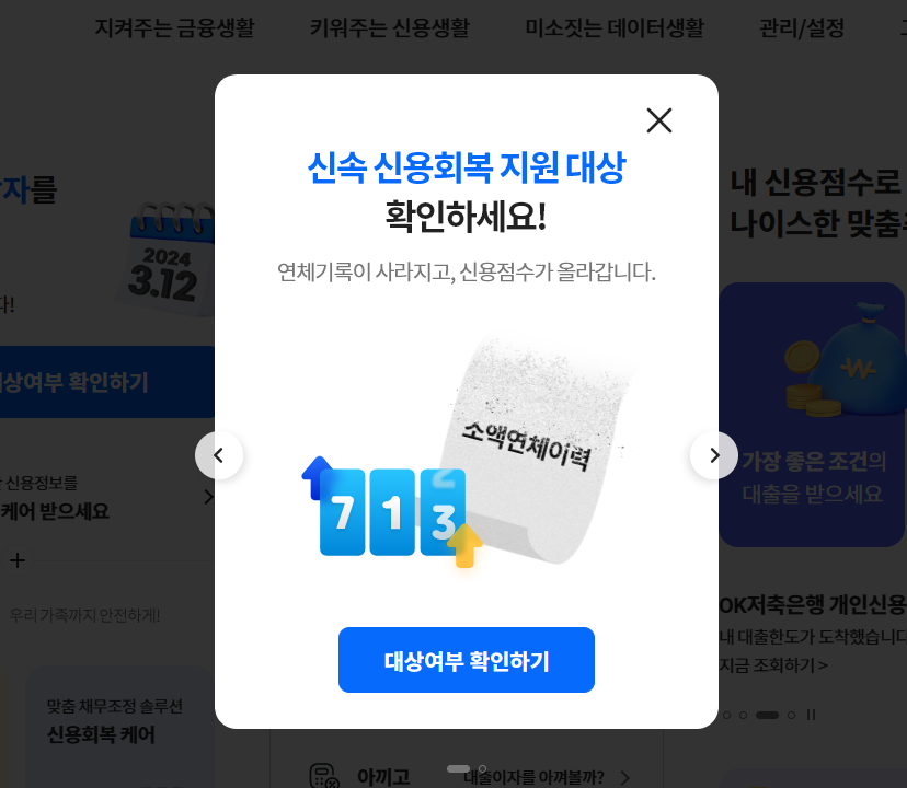 신용사면 조회