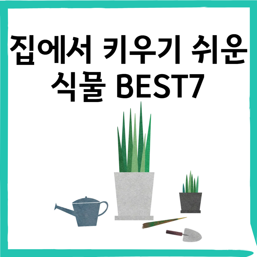 봄맞이 초록 인테리어 집에서 키우기 쉬운 식물 Best 7 &amp; 키우는 법 총정리