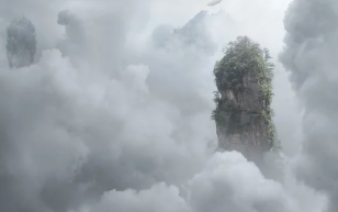 뱀이 나오는 꿈 의미 및 해몽(색깔, 상황별 해석, 길몽 여부)