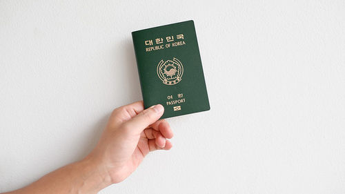 여권을 들고 있는 사진