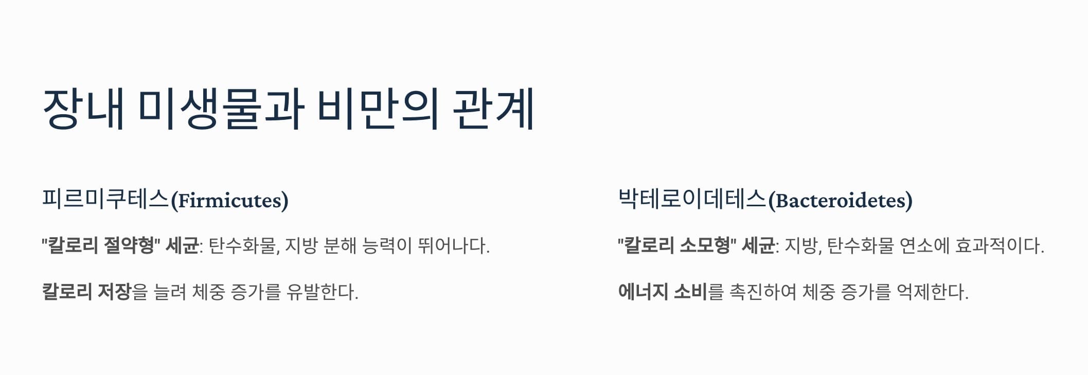 장내미생물과 비만의 관계를 설명하는 그래픽