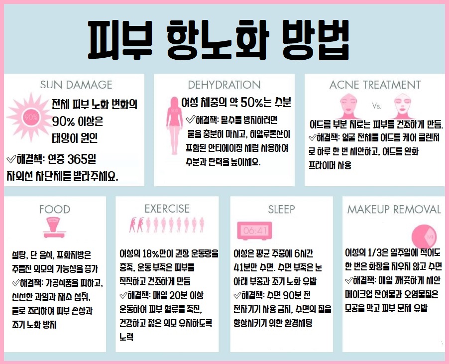 피부 항노화 방법