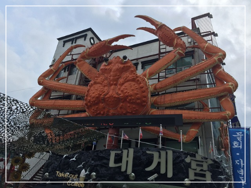 영덕대게 사진