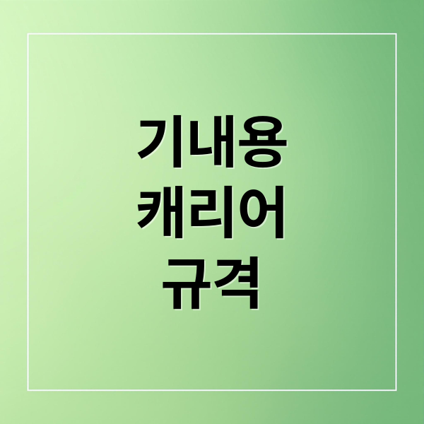 기내용 캐리어 규격 완벽 분석