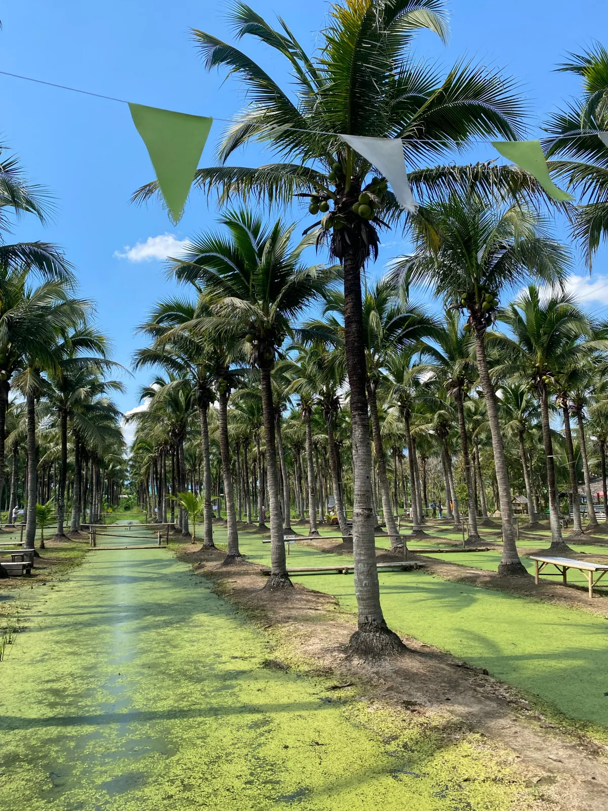 블로그-글을-꾸준하게-작성하는-방법｜관점의-중요성