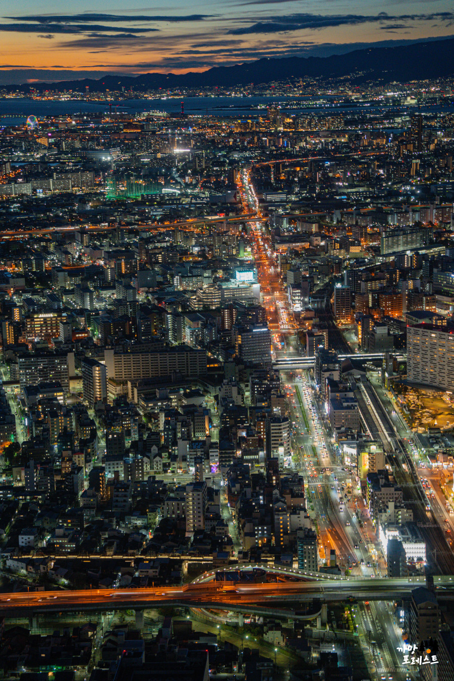 오사카 하루카스 300 야경