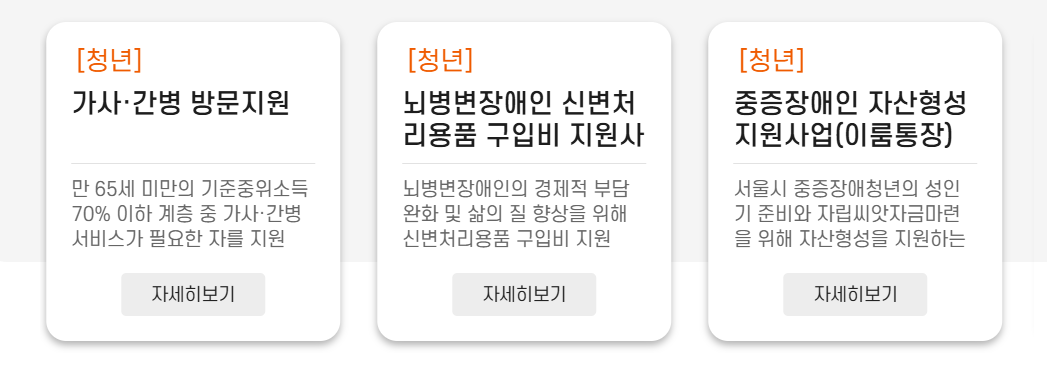 서울 복지포털 인터넷 홈페이지 (청년)