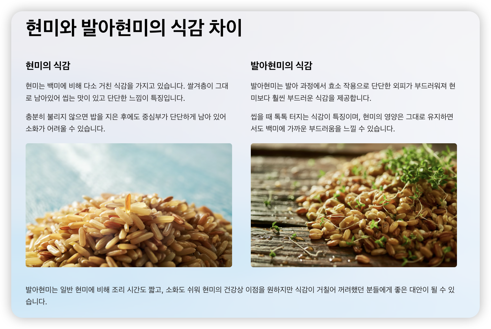 현미-발아현미-식감-차이