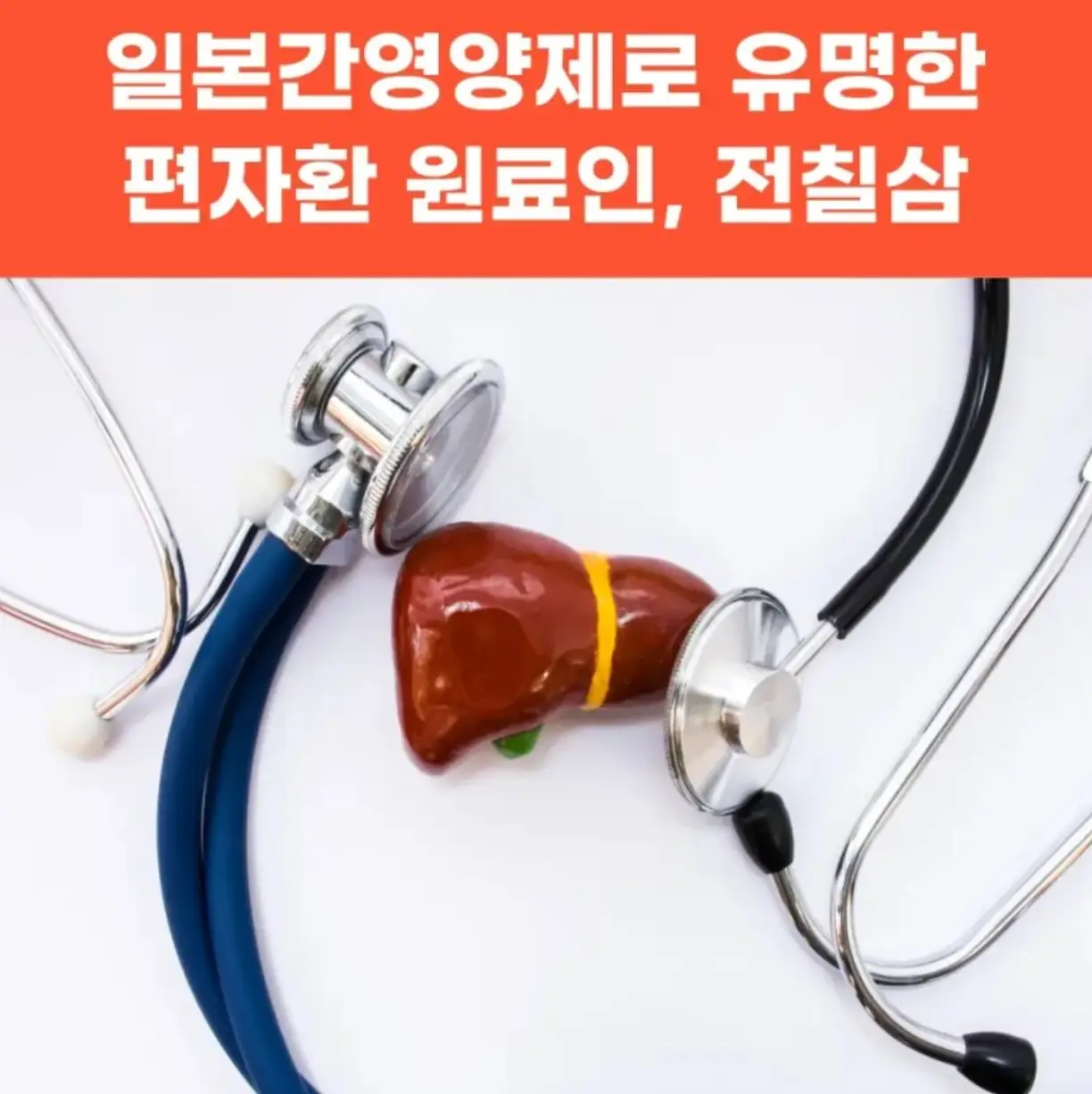 간에좋은음식