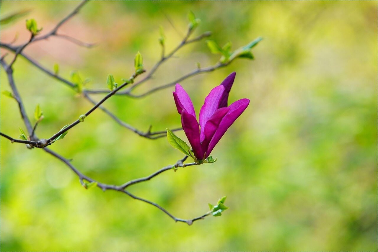 은행 적금 이자 높은곳