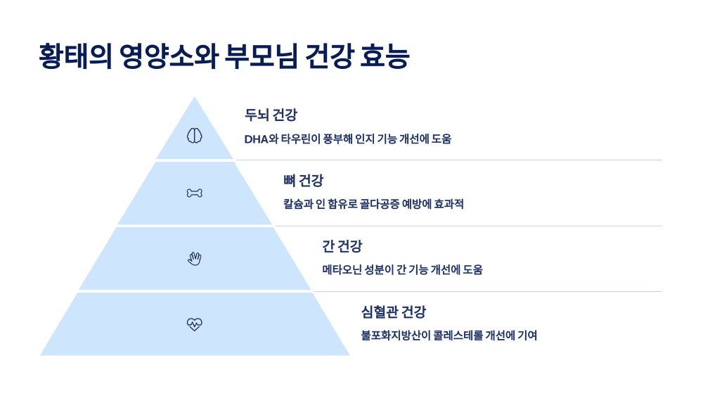 황태의 영양소와 부모님 건강 효능