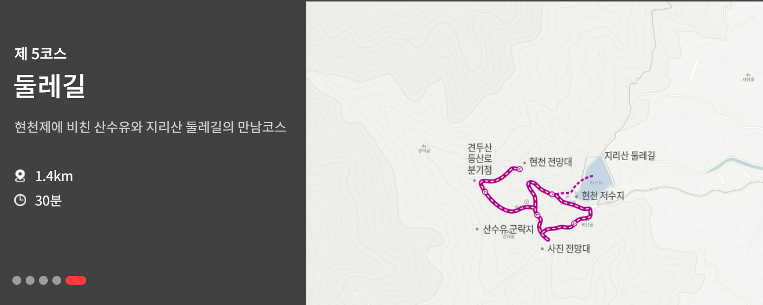 구례 산수유축제